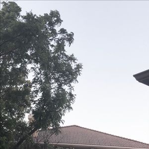 Meet your Posher, Elise